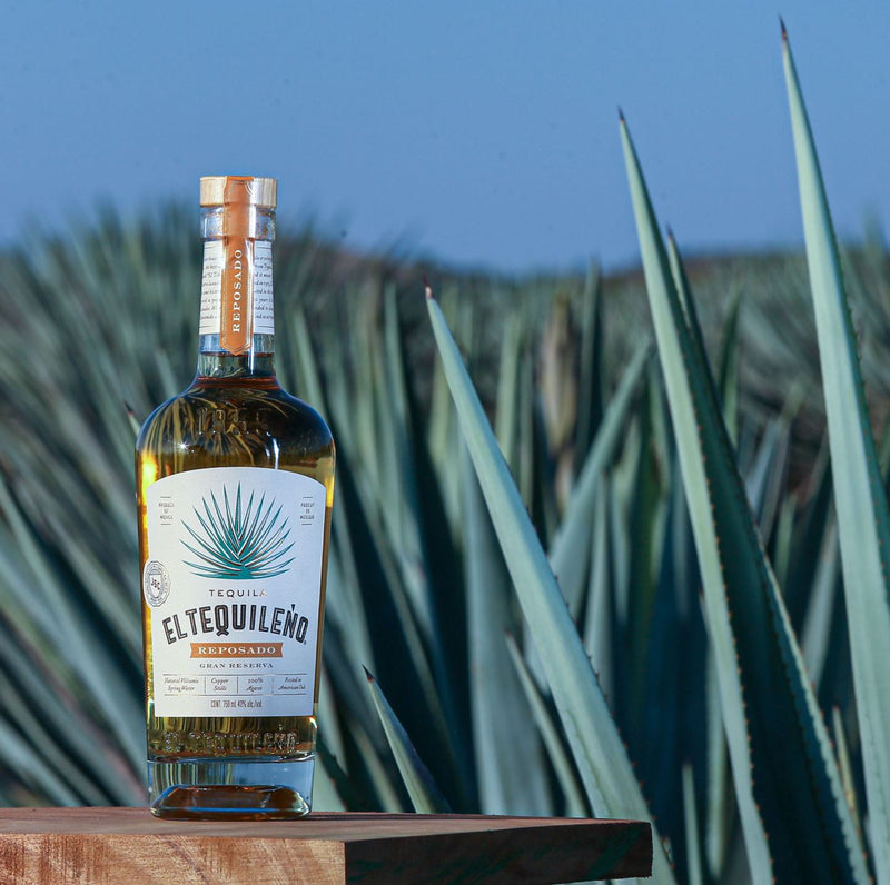Tequila Reposado Flasche