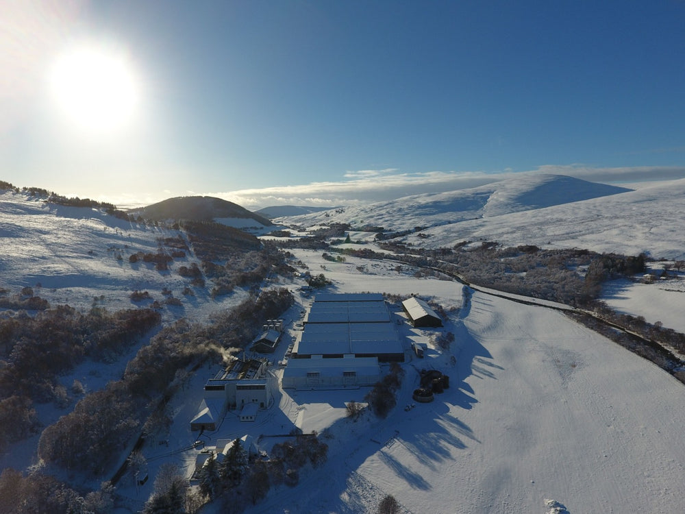 Tomintoul Brennerei von oben. 1.2 Winter