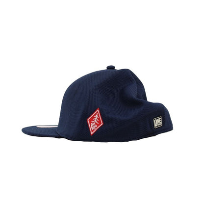 WestlandCapseite